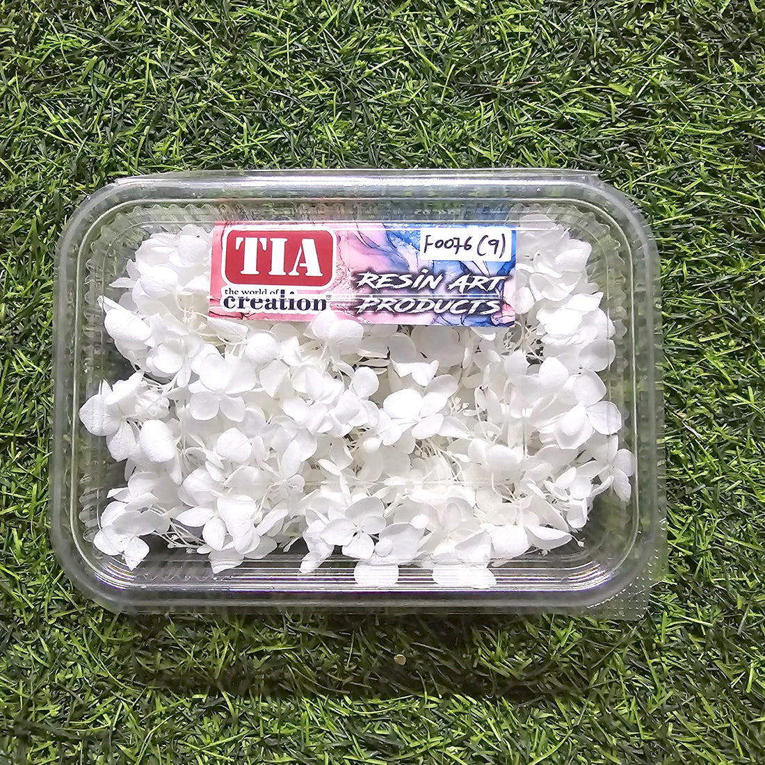Dried Hydrangea Flowers Box Paking (TR647)
