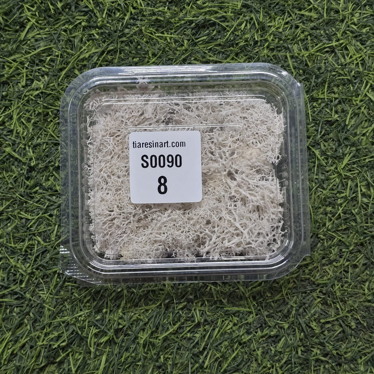 Moss Imported for Ocean Resin Art (S0090-8)