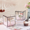 Black Border Clear Square Gift Bag — 20 × 9 × 20 cm — 1 Pc