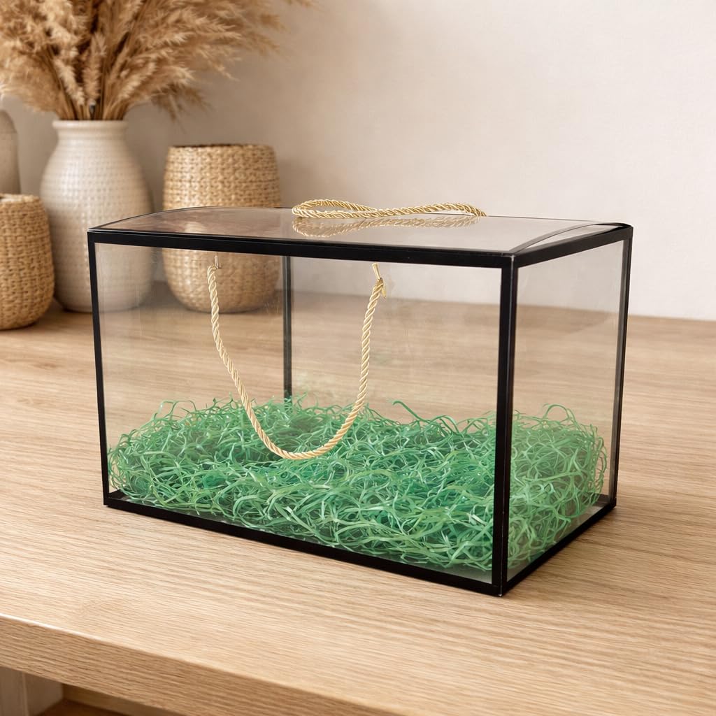 Black Border Clear Rectangle Gift Bag — 30 × 15 × 20 cm — 1 Pc