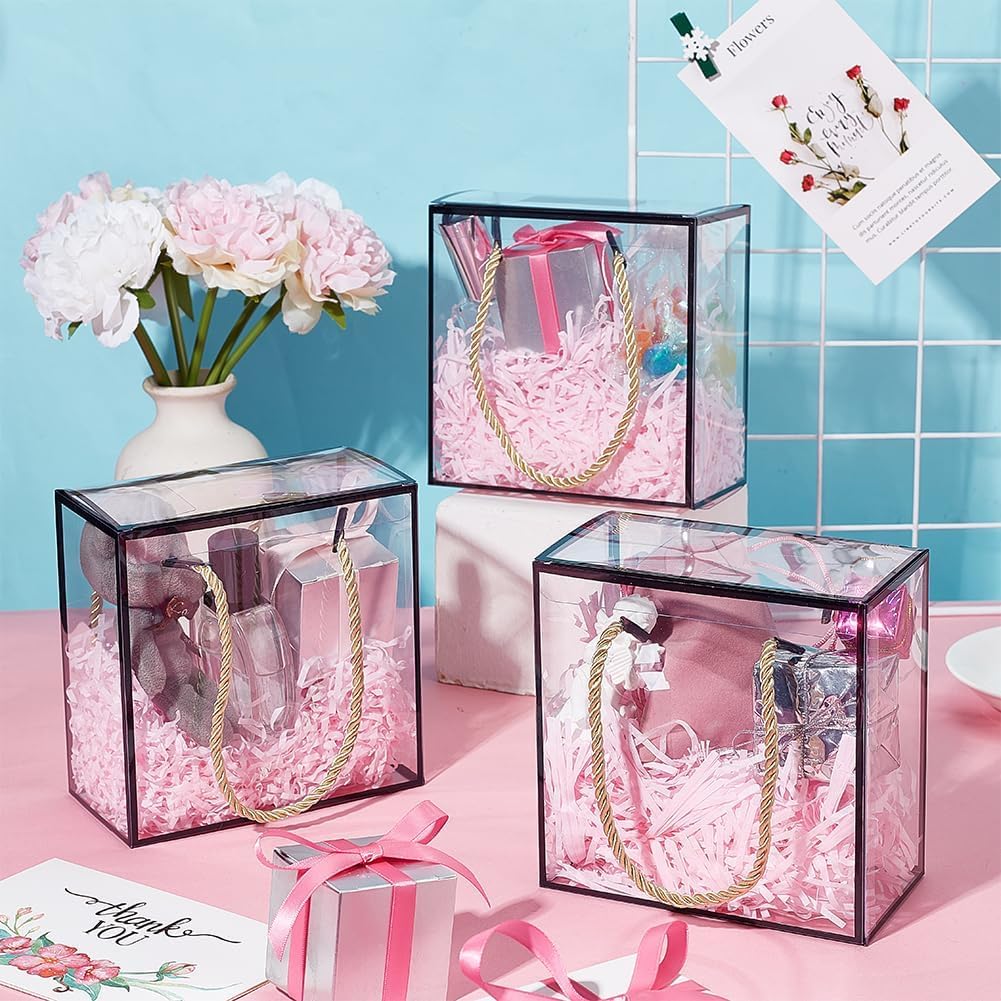 Black Border Clear Square Gift Bag — Large, 25 × 10 × 25 cm — 1 Pc