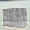 Silver Metallic Paper Gift Bag — Large — 1 Pc