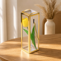 Clear Frame & Rope-Handle Gift Box — 21 × 7 × 7 cm — 1 Pc