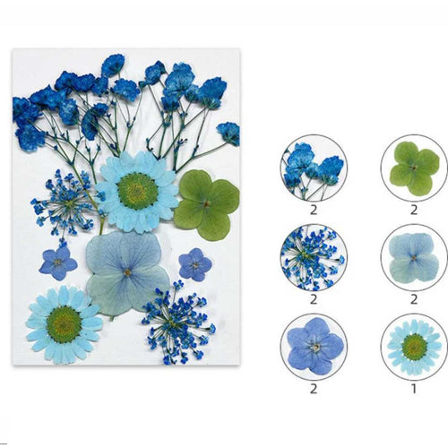 10 In 1 Pressed Flowers (TR1003)