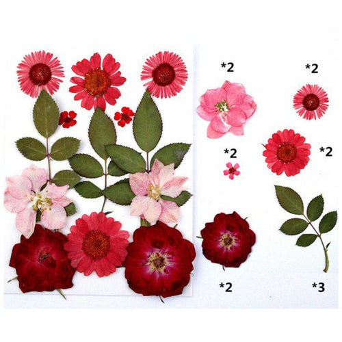 13 In 1 Pressed Flowers (TR1004)