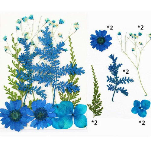 10 In 1 Pressed Flowers (TR1005)