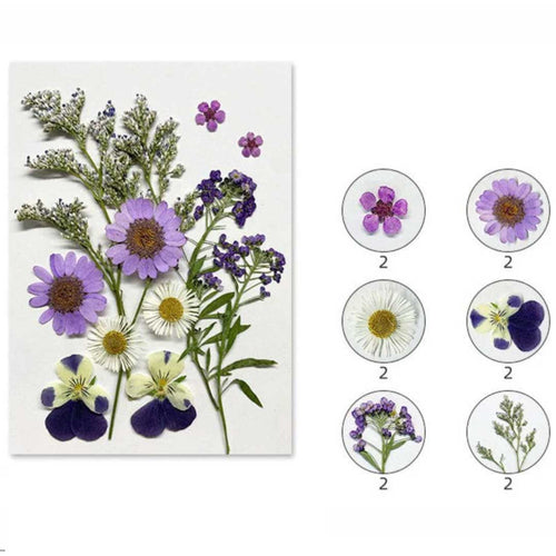 12 In 1 Pressed Flowers (TR1006)