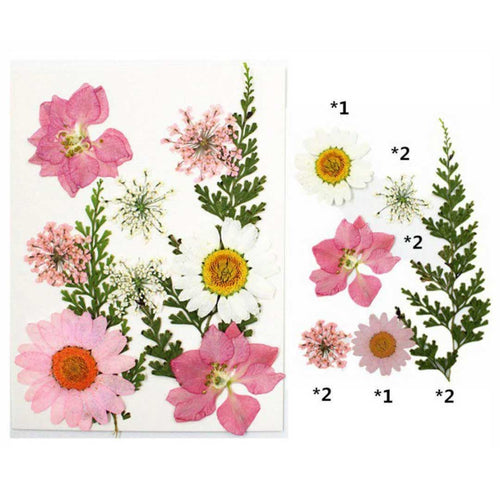 10 In 1 Pressed Flowers (TR1007)