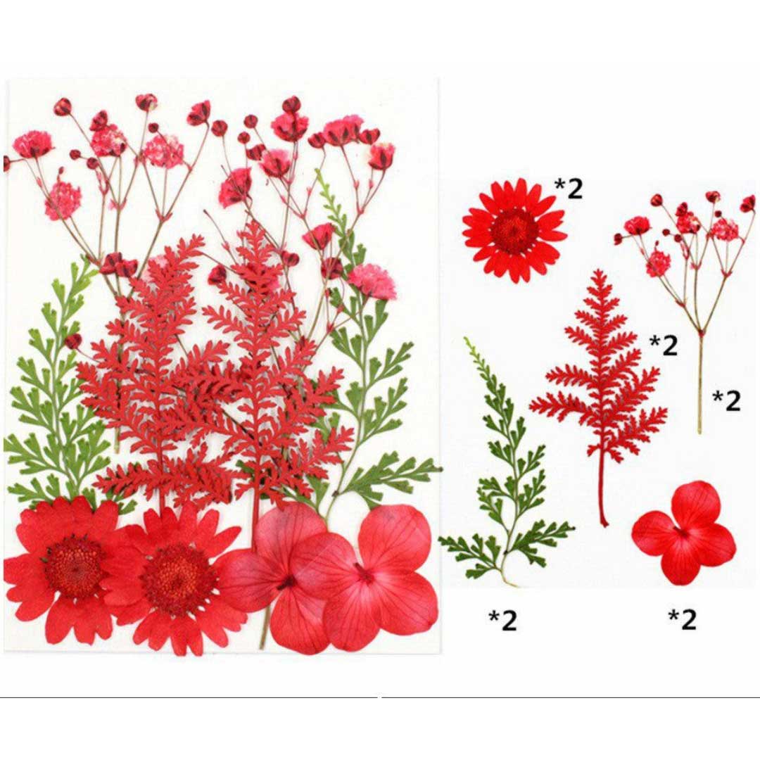 10 In 1 Pressed Flowers (TR1008)
