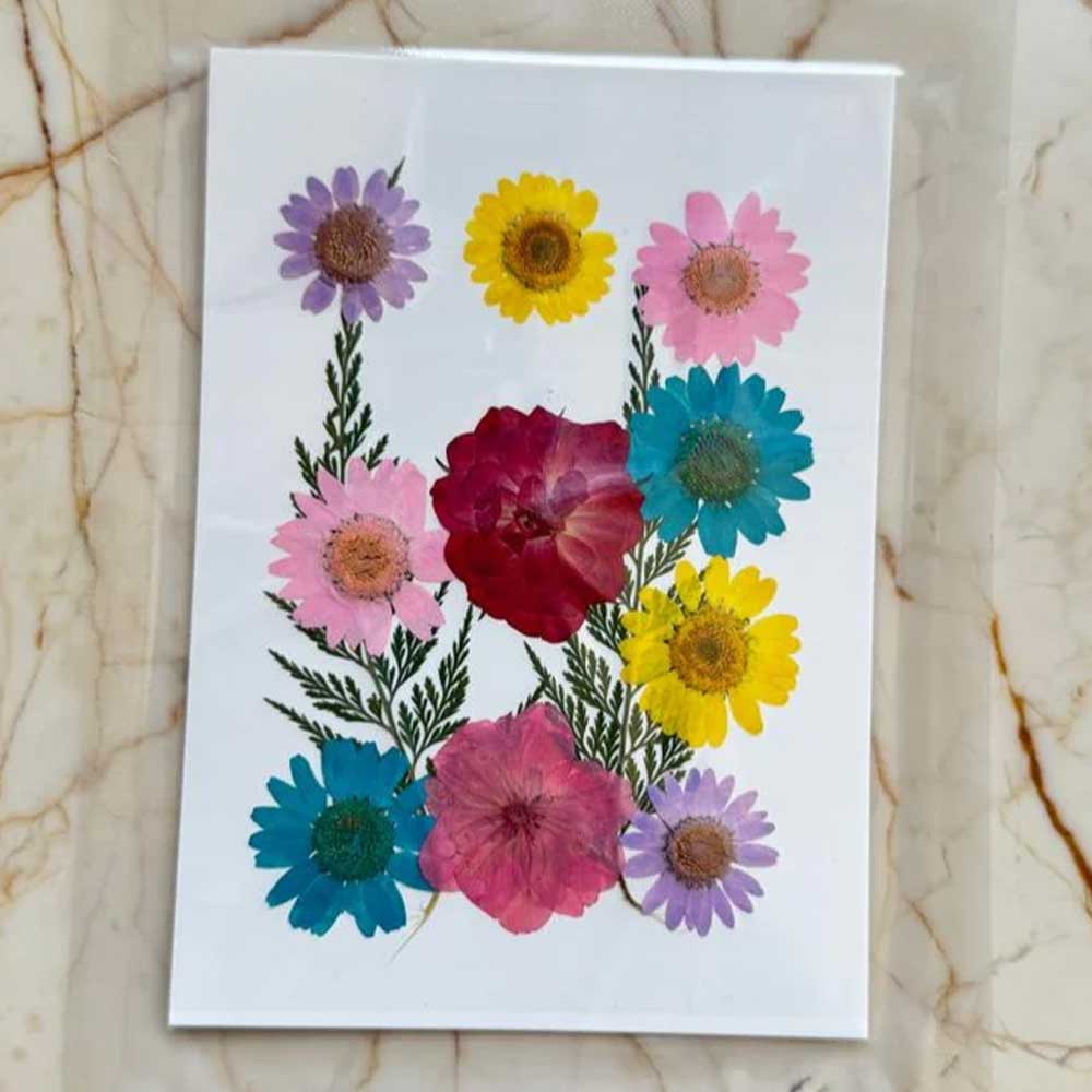 12 in 1 Pressed Dry Flowers 2