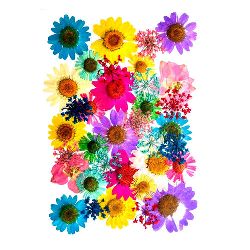 35 in 1 Pressed Dry Flowers 2