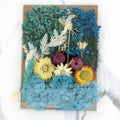 Mix Dry Flower Card Paking (TR656)